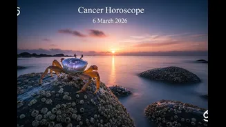 Related Stories banner