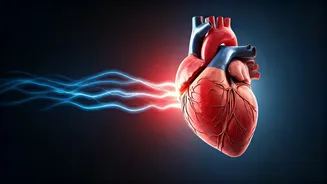 Irregular Heartbeat Alert: Experts Link AFib to Significantly Increased Stroke Risk
