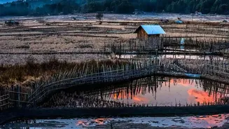 Young travellers book eco friendly stays in Ziro Valley with approved Inner Line Permits