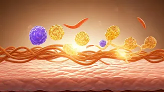 Rice vs. Roti: The Ultimate Skin Clarity Showdown for Your Face