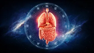 Zodiac Guide: Health, Lifestyle, and You!