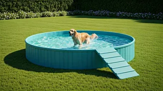 Premium Pet Resorts Featuring Dedicated Splash Pools Trend Online