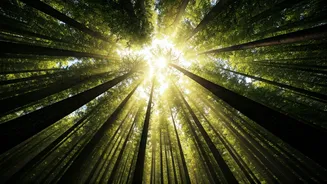 The Green Vacation Trend Continues