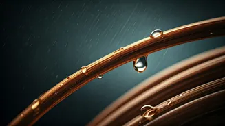 Why India's Rainy Season Loves Oily Scalps