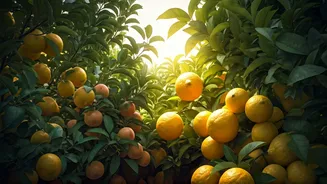 Small Homes Can Handle Fruit-Growing Ambition