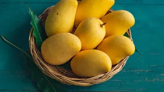 Late-Season Mangoes Take Flight From Karnataka to Overseas Markets