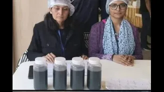 McDonald’s Under Scanner Over Reused Oil, Rotten Tomatoes: How To Check If Your McAloo Tikki Burger Is Fresh?