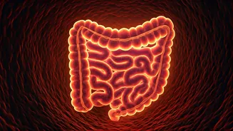 Why Everyone's Prioritising Gut Health Now