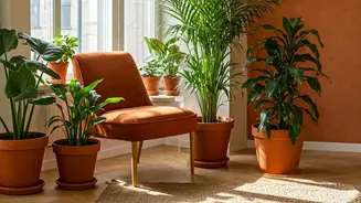 Why Urban Renters Are Embracing The Terracotta Aesthetic Today