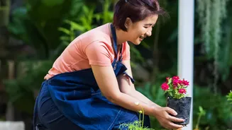 Seasonal Plant Choices Can Help Indian Gardeners Avoid Buying Flowers Unsuited To Their Balconies