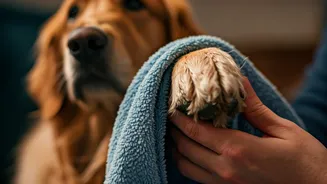 How To Soothe Irritated Pet Paws Affected By Rainy Mud