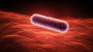 Strep Throat's Hidden Link: How Infections Ignite Psoriasis Flare-Ups