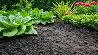 Monsoon Gardens Need Drainage Before Decoration
