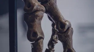 The Science Behind The New Tiny-Dinosaur Study: Mammals And Dinosaur Size Competition