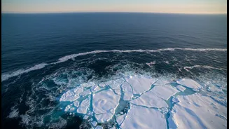 Missing Sea Ice Could Change Ocean Circulation Patterns