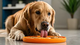 Your Essential Monsoon Pet Care Checklist Features Pumpkin Licking Mats