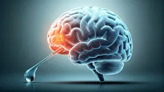 Early Adult Drinking to Cope? Your Brain Could Pay the Price for Life