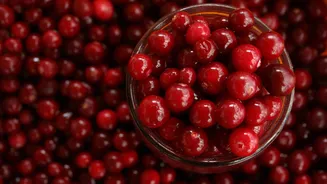 Cranberries vs. prickly pear: Which fruit packs more health power?