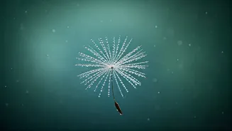 5 Quick Exercises to Tame Overwhelming Emotions and Restore Calm