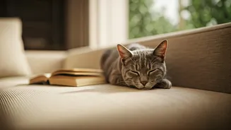 Mumbai Cat Capital Milestone: What Pet Owners Are Saying