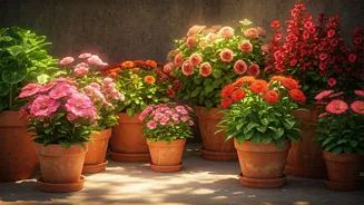 11 Easy Shade-Loving Plants for Vibrant Container Gardens