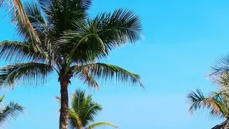 From Food To Beaches, Vietnam Ticks Every Box For Indian Holidaymakers