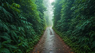 India's Monsoon Trip Planning Just Got A Lot More Thoughtful