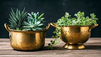 Top DIY Hack: Upcycle Ancient Brass Cookware Into Planters