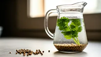 Drink Slow Steeped Coriander Seed Water To Beat Seasonal Bloating