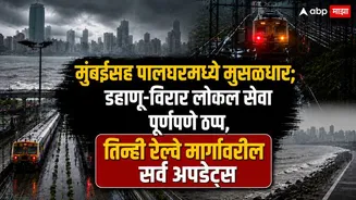 Maharashtra Rain Weather News: मुंबईत मुसळधार, पालघरमध्ये हाहाकार; डहाणू-विरार लोकल सेवा पूर्णपणे ठप्प; पश्चिम, मध्य, हार्बर रेल्वे मार्गावरील A ट...