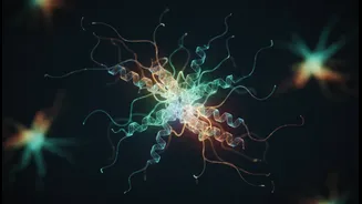 Organ-To-Organ Protein Signals Is Useful Context, Not a Guarantee, for Biomedical Science Readers