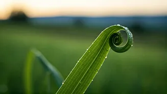 Green Travel Is The New Vacation Trend