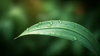 One Small Eating Change For A Healthier Monsoon