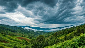 Northeast Culture Belongs In India's Monsoon Plans