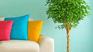 Understanding Making Odd Corners Useful Through the Awkward-Corner Design Trend