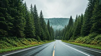 Rainy Weekends? These Delhi-NCR Escapes Are Worth The Drive