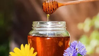 Honey Is Natural but That Does Not Make It Sugar-Free