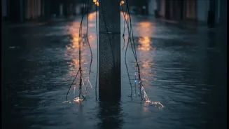 What Flooded-Street Electrical Hazards could change about public reporting of exposed wires and faulty poles