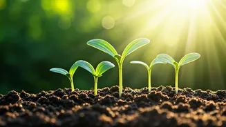 तैयार होने से पहले ही शुरुआत करें: 24 आदतें