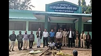 MP News: Tiger Falls Prey To Electric Trap Set By Poachers For Wild Boars In Sanjay Tiger Reserve; Two Held, Third Absconding