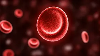 Hipoglicemia: Reconheça os Sintomas e Saiba Como Agir Rapidamente!