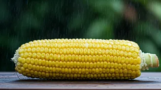 The Monsoon Favourite Is Deliciously Simple