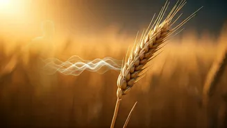 Unveiling the Bread Paradox: How Carbs Pack on Pounds Without Extra Calories