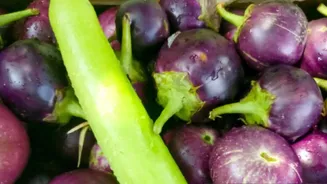 Brinjal v/s bottle gourd: Which is more nutritious?