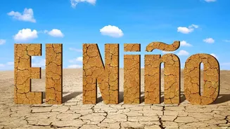 El Nino Effect: వర్షాల కొరత వేళ రైతులకు కీలక సూచనలు.. ప్రత్యామ్నాయ పంటల సాగును ప్రోత్సహిస్తున్న ప్రభుత్వం