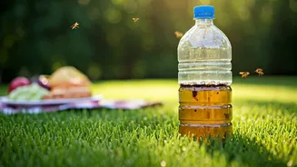 DIY Yellow Jacket Trap: Your Ultimate Guide to Peaceful Picnics