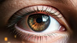 Eye Exercises: Myth vs. Reality for Vision Improvement