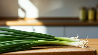 Unveiling Spring Onion's Culinary Magic: 10 Dishes to Try!