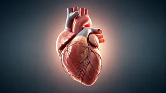 Related Stories banner