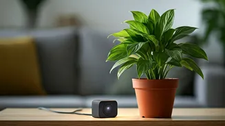 Keep Plants Healthy Automatically With Smart-Plug Grow Light Timers